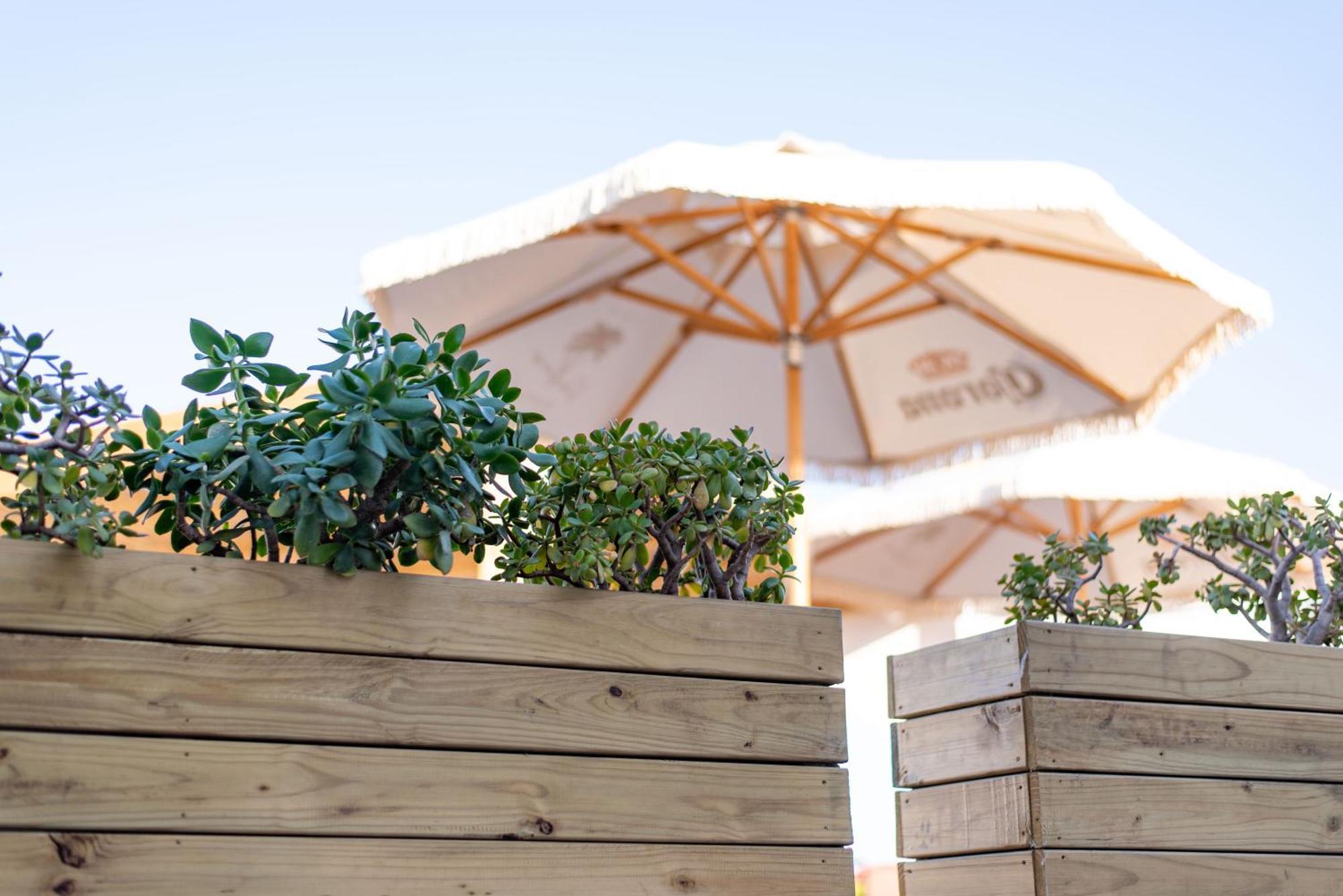 The Ivory Haus Hotel Plettenberg Bay Exterior photo